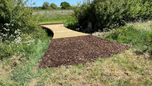 Acorn: Forest Bridge