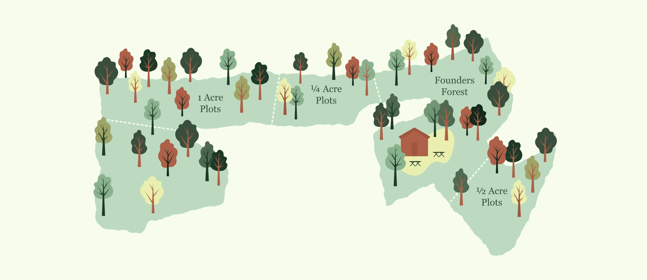 An illustrated example of the Co-forest Beech site layout.